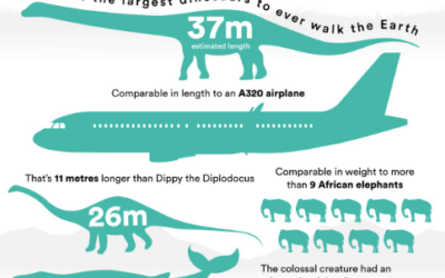 IAG carries giant dinosaur cast from Argentina to Britain for exhibition