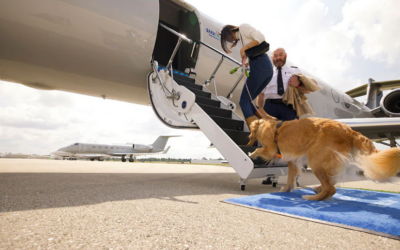 Dog-only airline em-barks on first flight